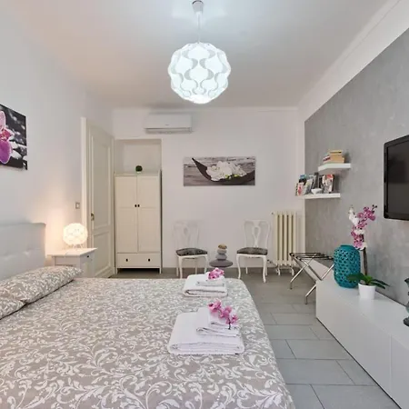 L'orchidea טורינו