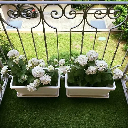 L'orchidea * טורינו